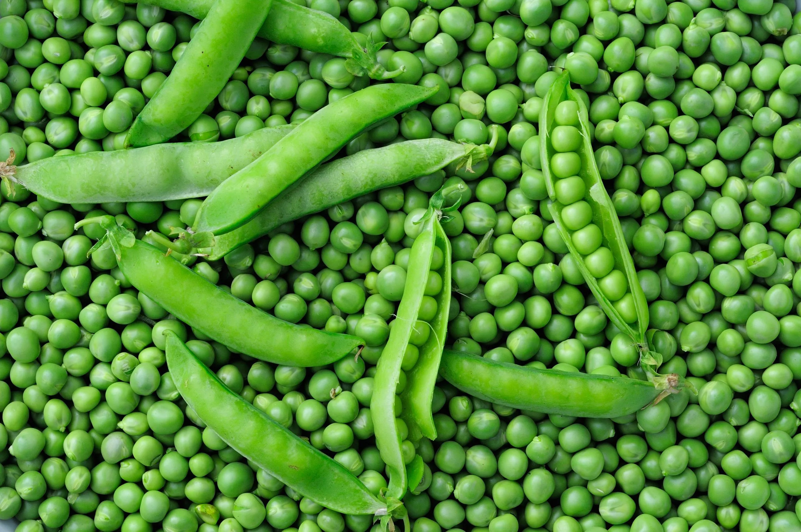 peas-scaled.jpeg